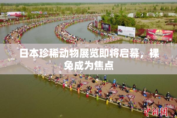日本珍稀动物展览即将启幕，裸兔成为焦点