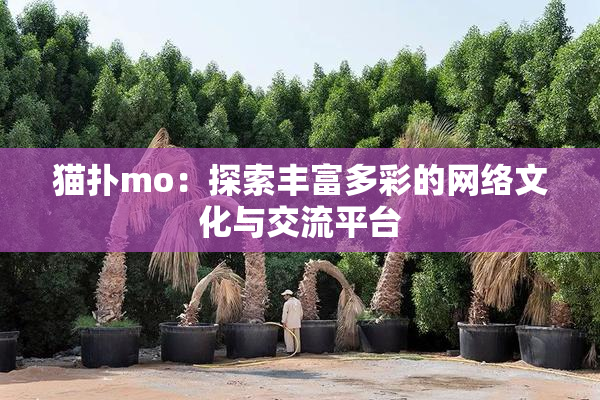 猫扑mo：探索丰富多彩的网络文化与交流平台