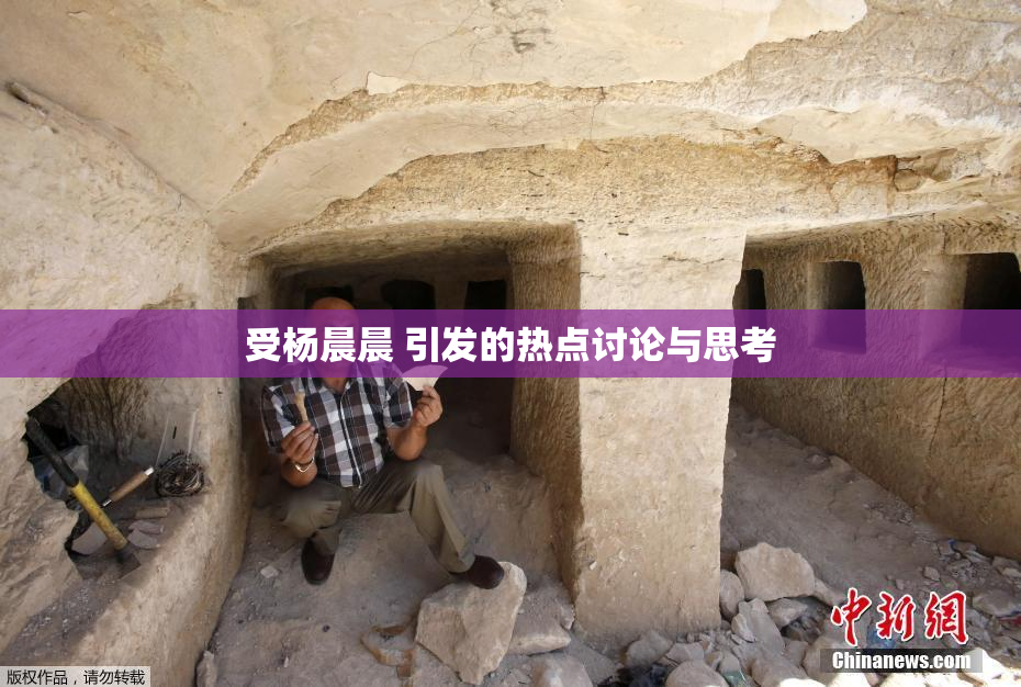 受杨晨晨 引发的热点讨论与思考