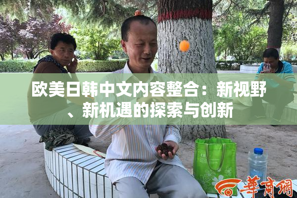 欧美日韩中文内容整合：新视野、新机遇的探索与创新