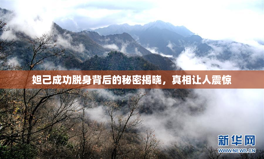 妲己成功脱身背后的秘密揭晓，真相让人震惊