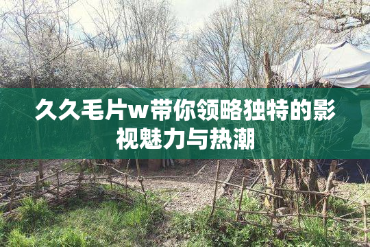 久久毛片w带你领略独特的影视魅力与热潮