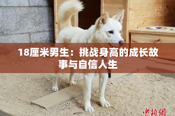 18厘米男生：挑战身高的成长故事与自信人生