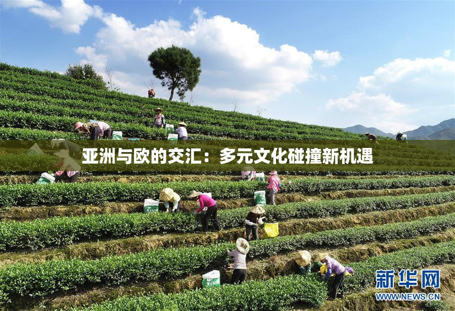 亚洲与欧的交汇：多元文化碰撞新机遇