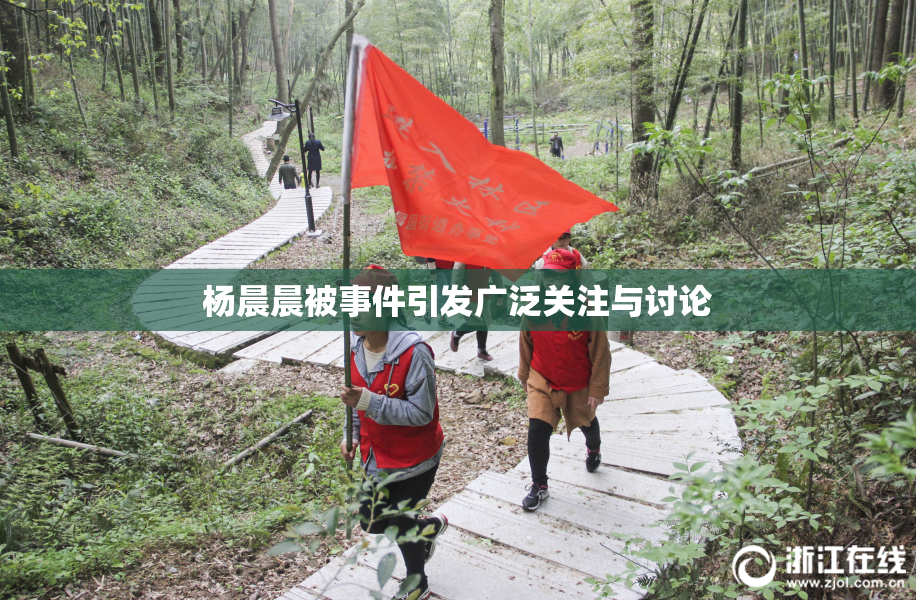杨晨晨被事件引发广泛关注与讨论