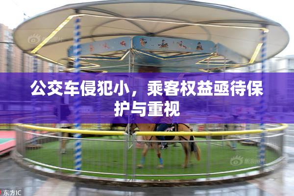 公交车侵犯小，乘客权益亟待保护与重视