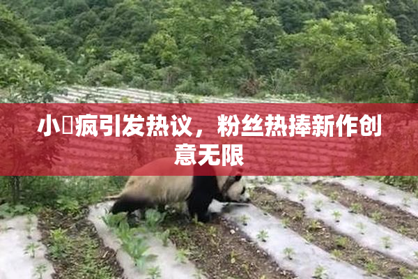 小泬疯引发热议，粉丝热捧新作创意无限