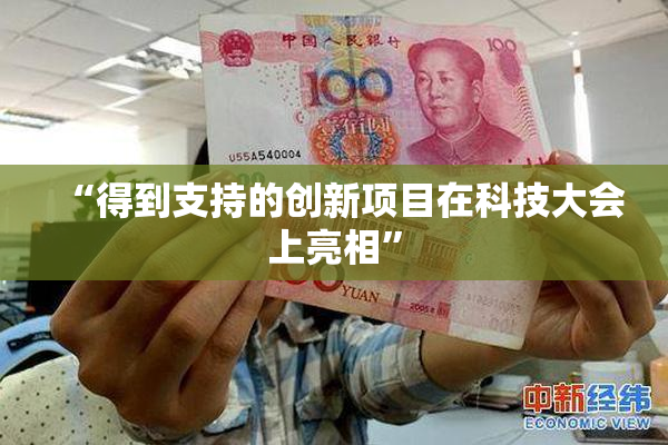“得到支持的创新项目在科技大会上亮相”