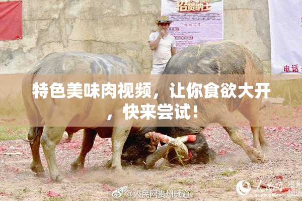 特色美味肉视频，让你食欲大开，快来尝试！