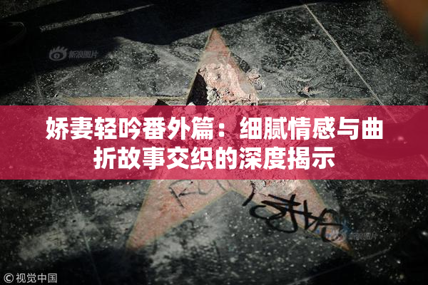 娇妻轻吟番外篇：细腻情感与曲折故事交织的深度揭示