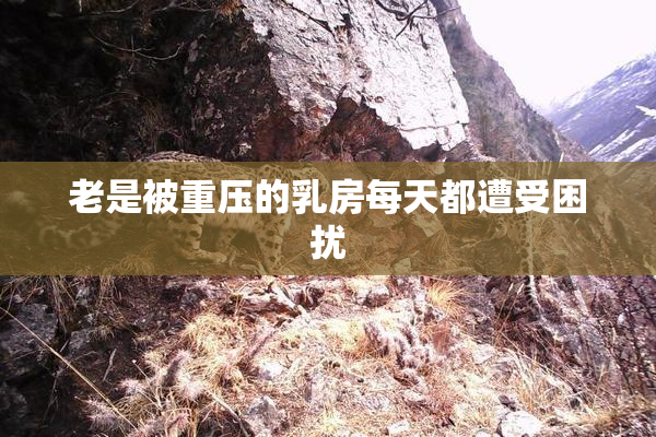 老是被重压的乳房每天都遭受困扰