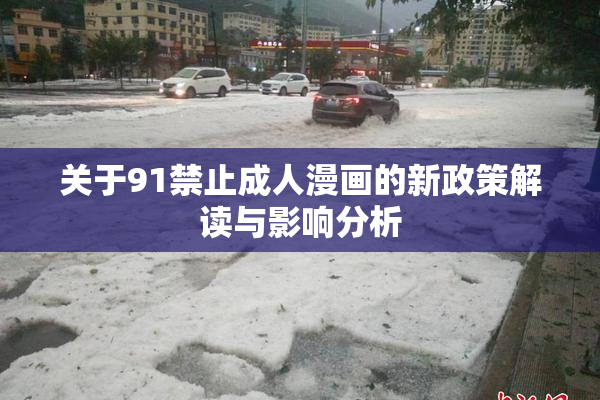 关于91禁止成人漫画的新政策解读与影响分析