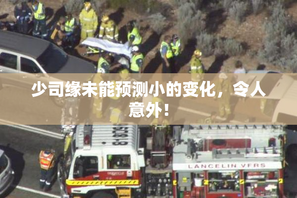 少司缘未能预测小的变化，令人意外！