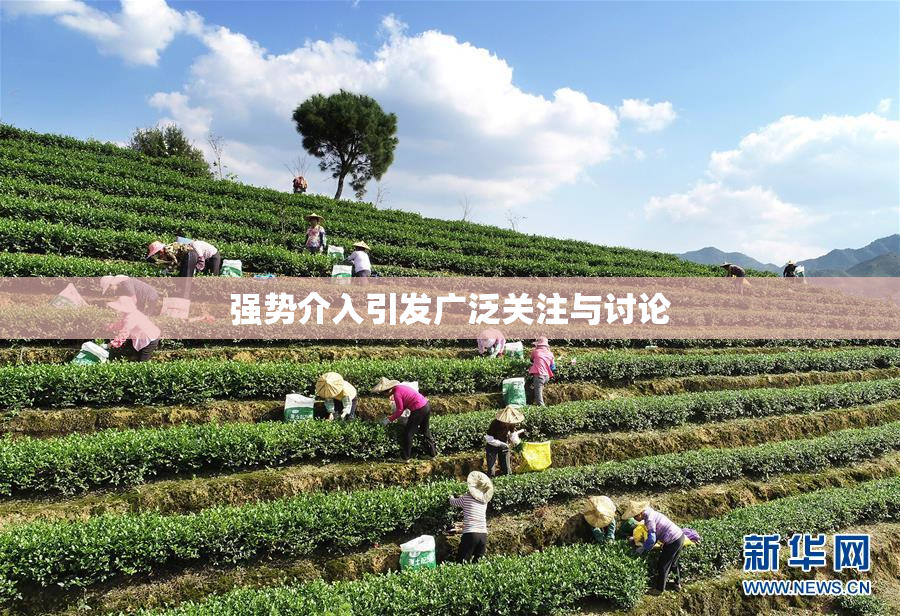 强势介入引发广泛关注与讨论