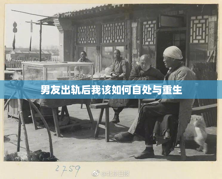 男友出轨后我该如何自处与重生