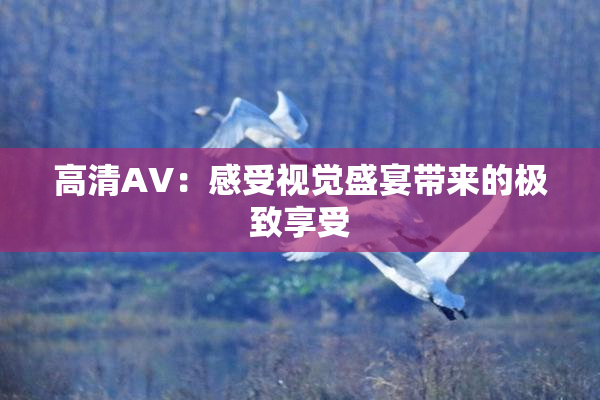 高清AV：感受视觉盛宴带来的极致享受