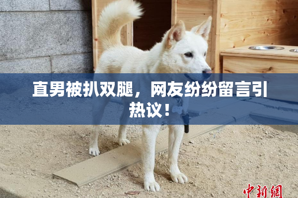 直男被扒双腿，网友纷纷留言引热议！