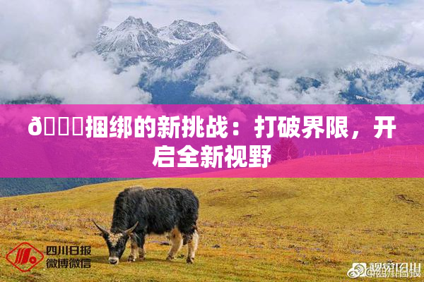 🔞捆绑的新挑战：打破界限，开启全新视野