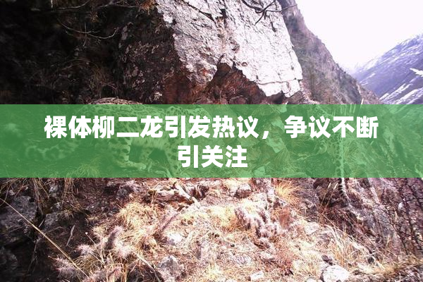 裸体柳二龙引发热议，争议不断引关注