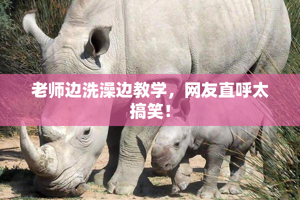 老师边洗澡边教学，网友直呼太搞笑！