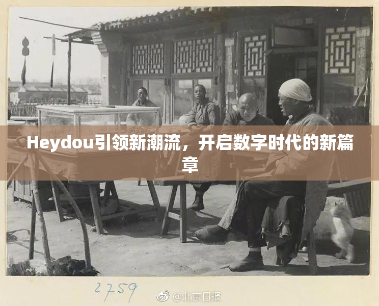 Heydou引领新潮流，开启数字时代的新篇章