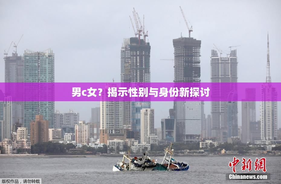 男c女？揭示性别与身份新探讨