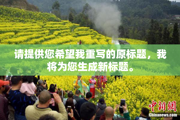 请提供您希望我重写的原标题，我将为您生成新标题。