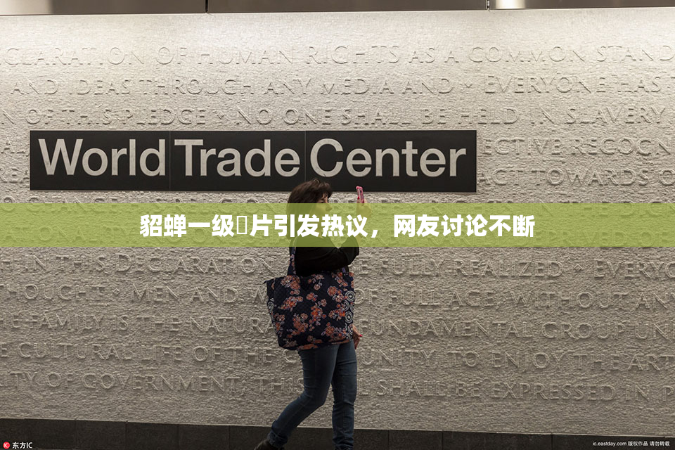 貂蝉一级婬片引发热议，网友讨论不断