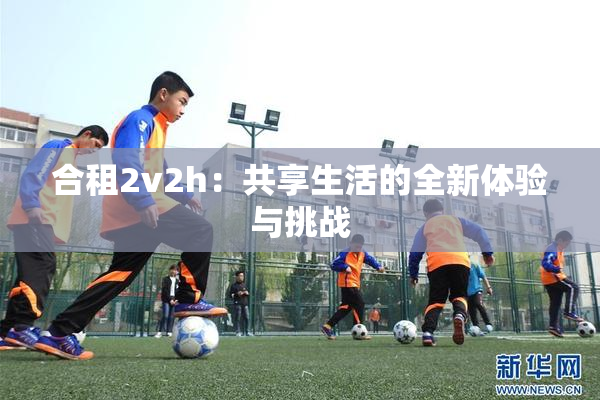 合租2v2h：共享生活的全新体验与挑战