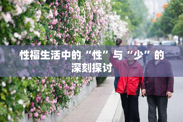 性福生活中的“性”与“少”的深刻探讨