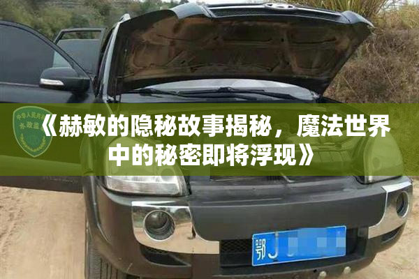 《赫敏的隐秘故事揭秘，魔法世界中的秘密即将浮现》