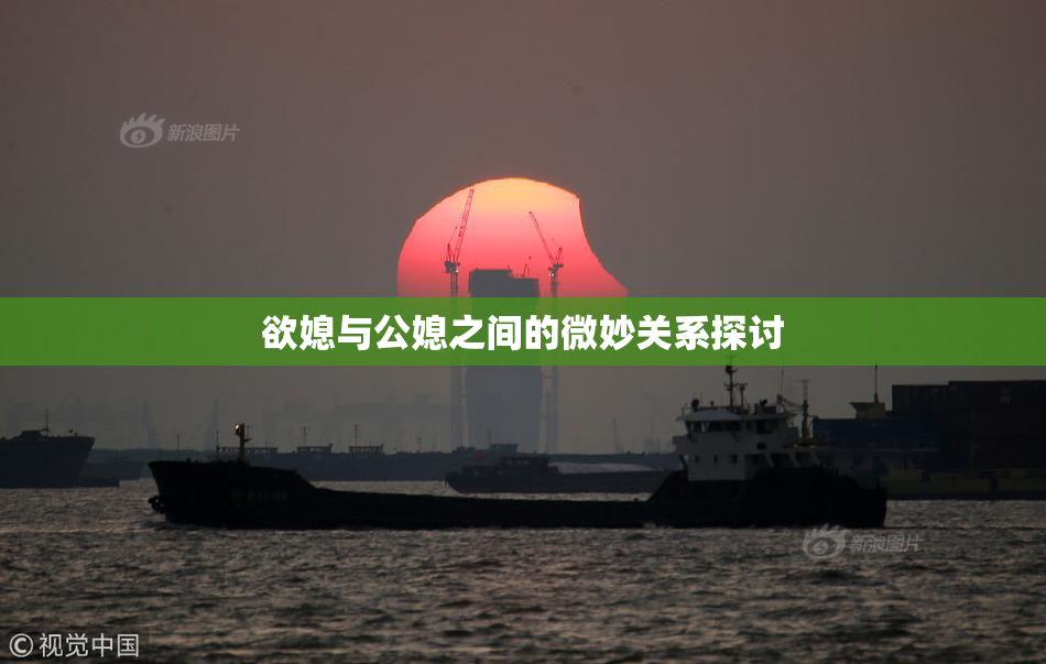 欲媳与公媳之间的微妙关系探讨