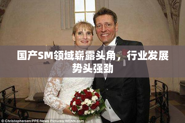 国产SM领域崭露头角，行业发展势头强劲