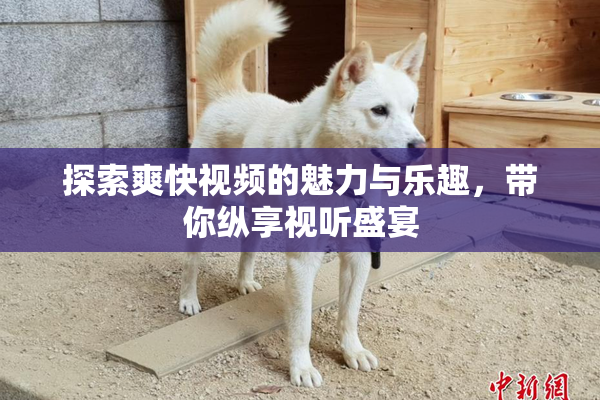 探索爽快视频的魅力与乐趣，带你纵享视听盛宴