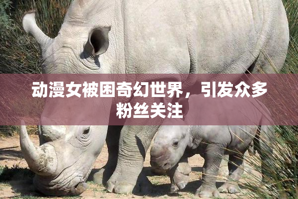 动漫女被困奇幻世界，引发众多粉丝关注