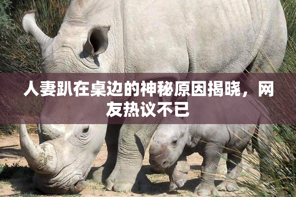 人妻趴在桌边的神秘原因揭晓，网友热议不已
