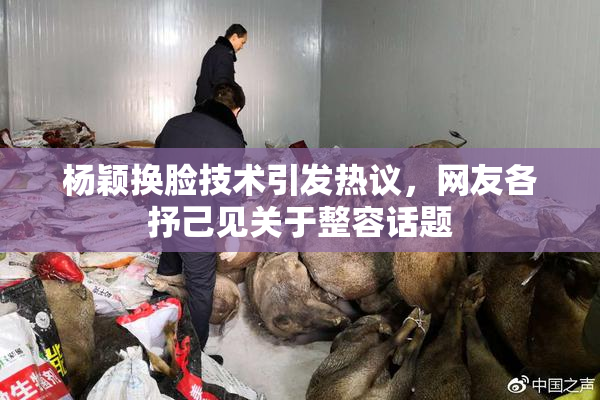 杨颖换脸技术引发热议，网友各抒己见关于整容话题