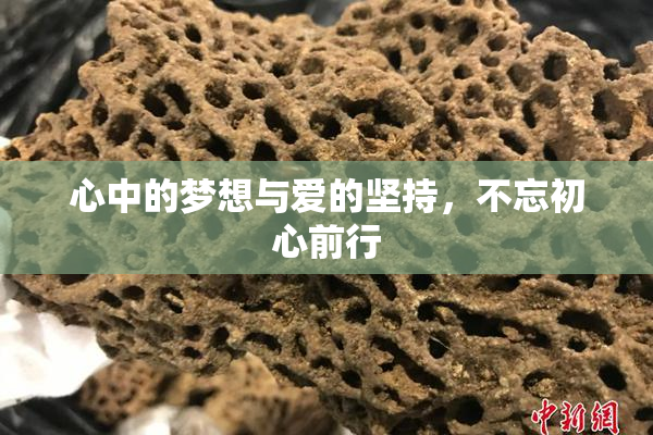 心中的梦想与爱的坚持，不忘初心前行