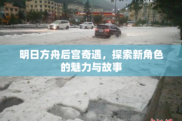 明日方舟后宫奇遇，探索新角色的魅力与故事