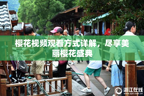 樱花视频观看方式详解，尽享美丽樱花盛典