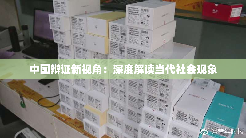中国辩证新视角：深度解读当代社会现象