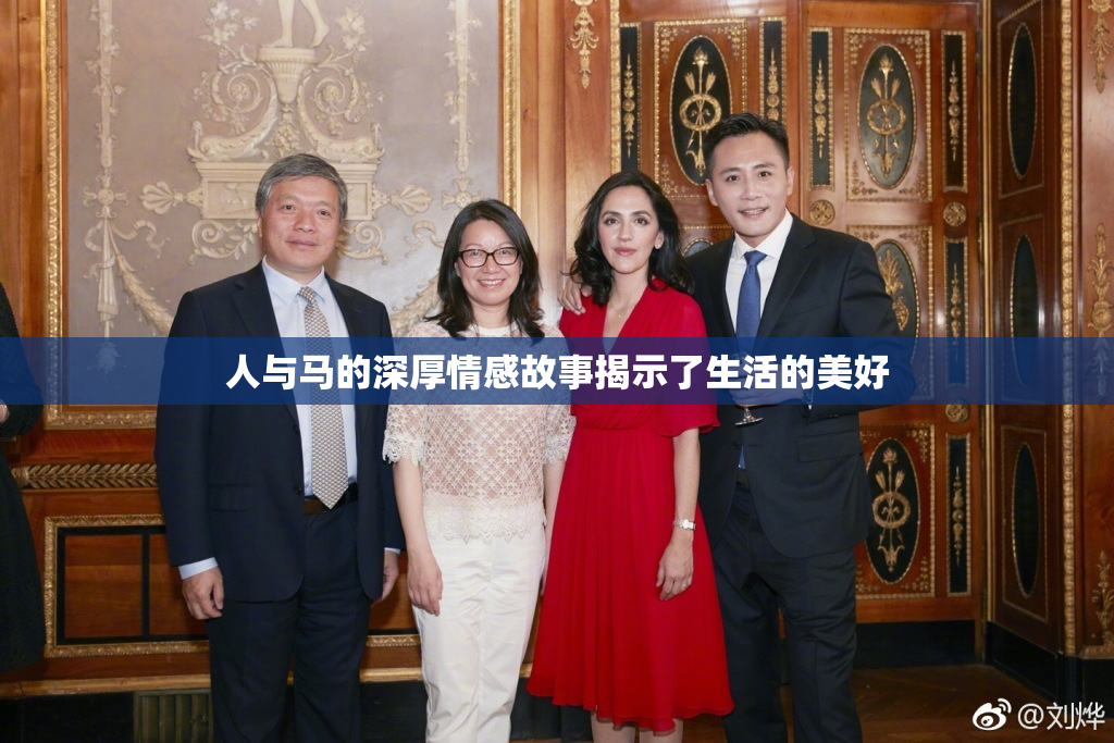 人与马的深厚情感故事揭示了生活的美好