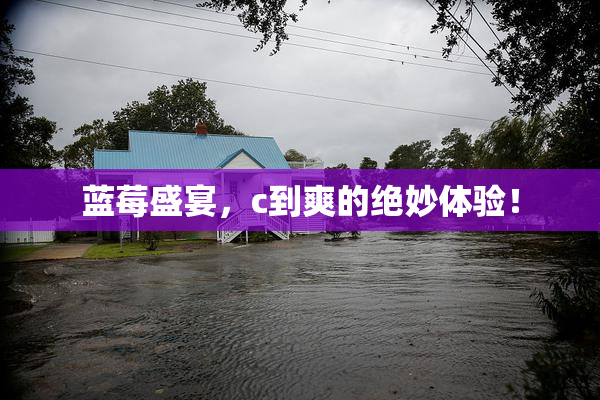 蓝莓盛宴，c到爽的绝妙体验！
