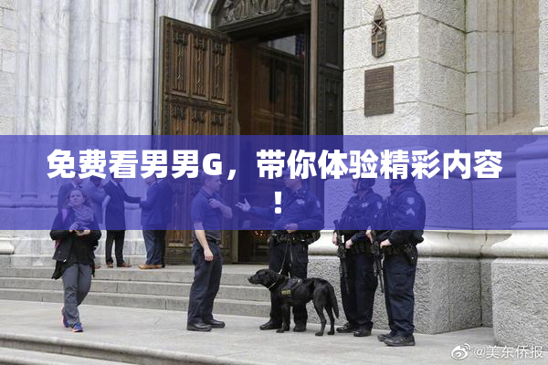 免费看男男G，带你体验精彩内容！