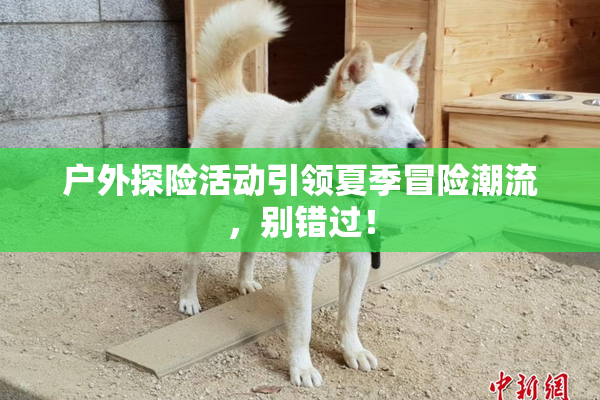户外探险活动引领夏季冒险潮流，别错过！