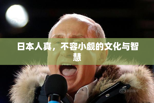 日本人真，不容小觑的文化与智慧