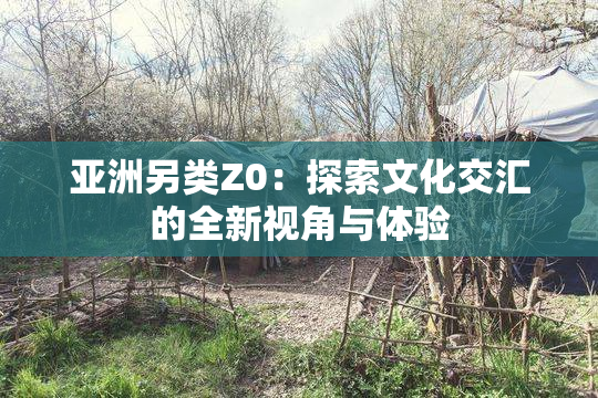 亚洲另类Z0：探索文化交汇的全新视角与体验