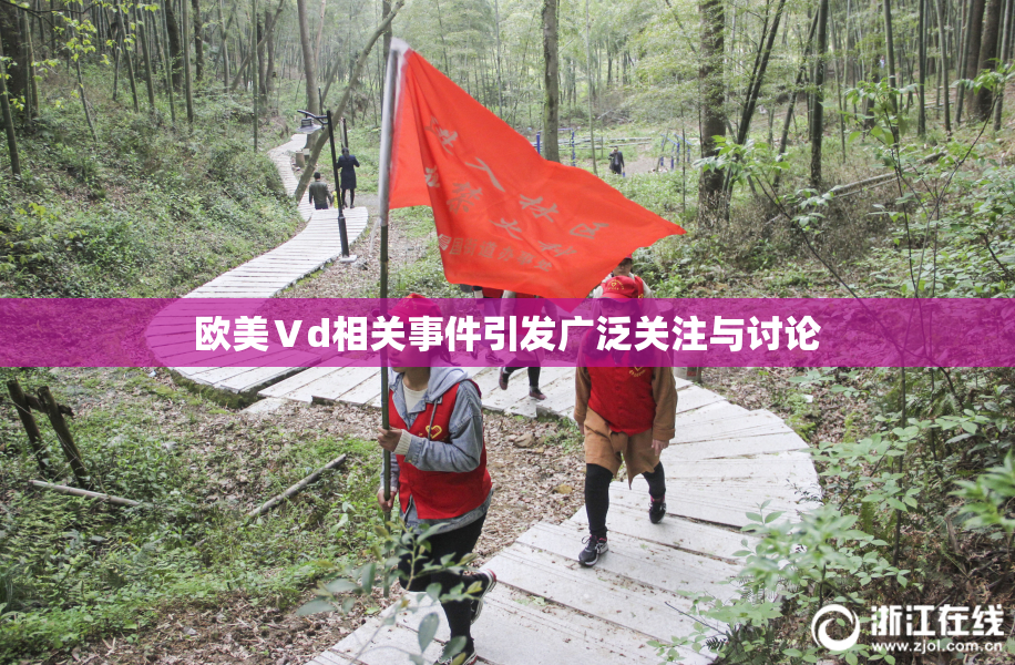 欧美Ⅴd相关事件引发广泛关注与讨论