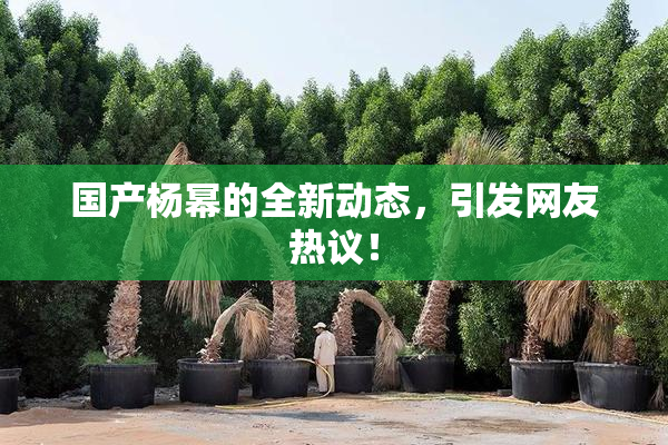 国产杨幂的全新动态，引发网友热议！