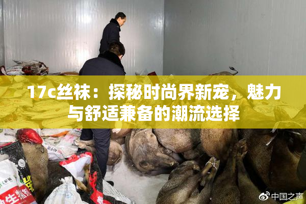 17c丝袜：探秘时尚界新宠，魅力与舒适兼备的潮流选择